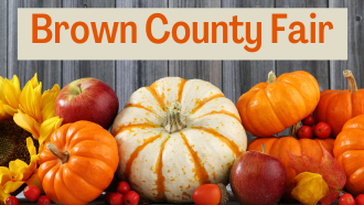 Grey fence background with pumpkins in various shades of orange and white