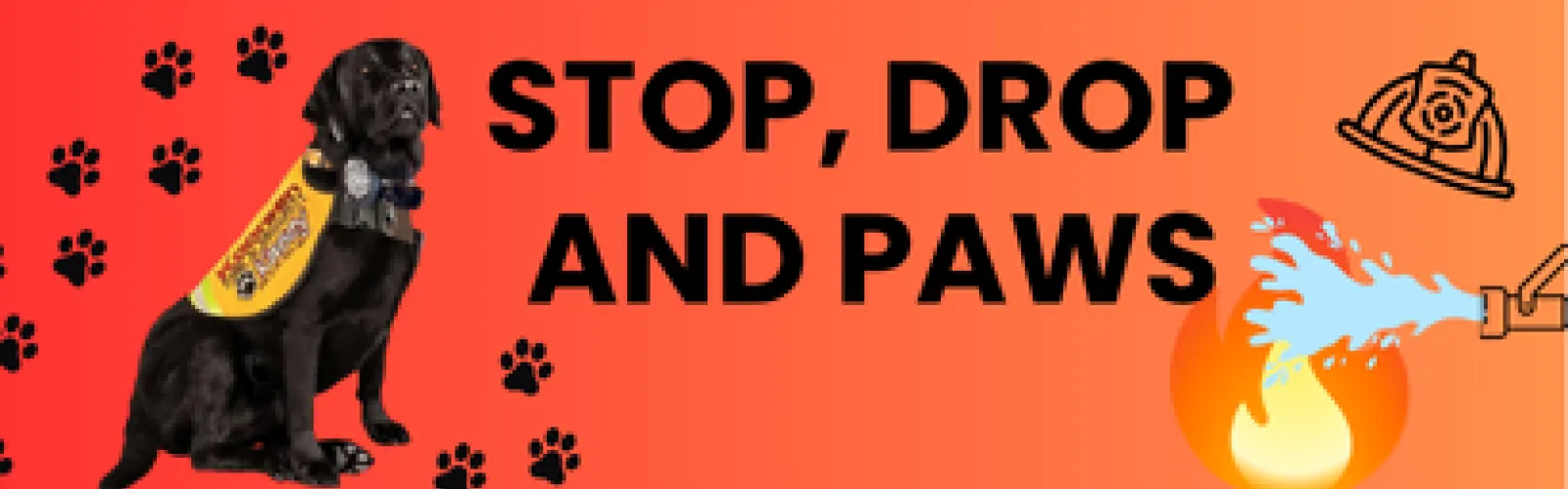 red and orange background with a black lab (dog) and a fire hose spraying blue water